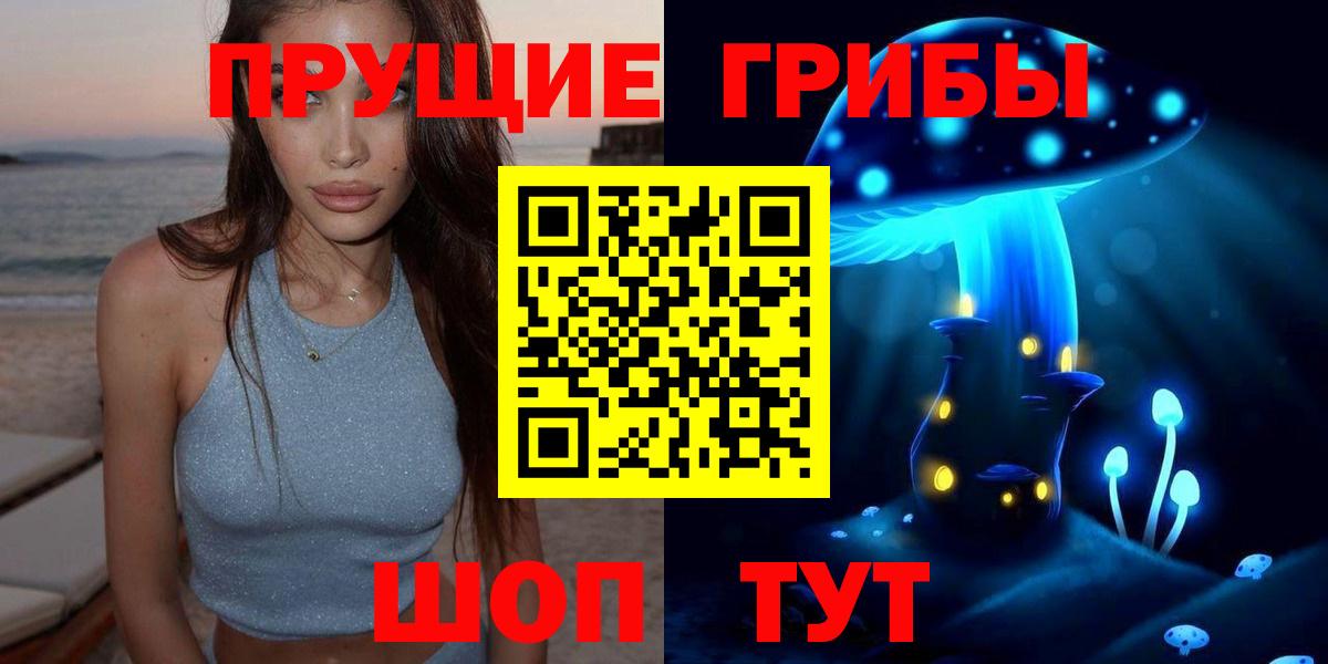 Кингисепп  Галлюциногенные грибы мицелий  Вход с VPN  Псилоцибиновые грибы прущие грибы 